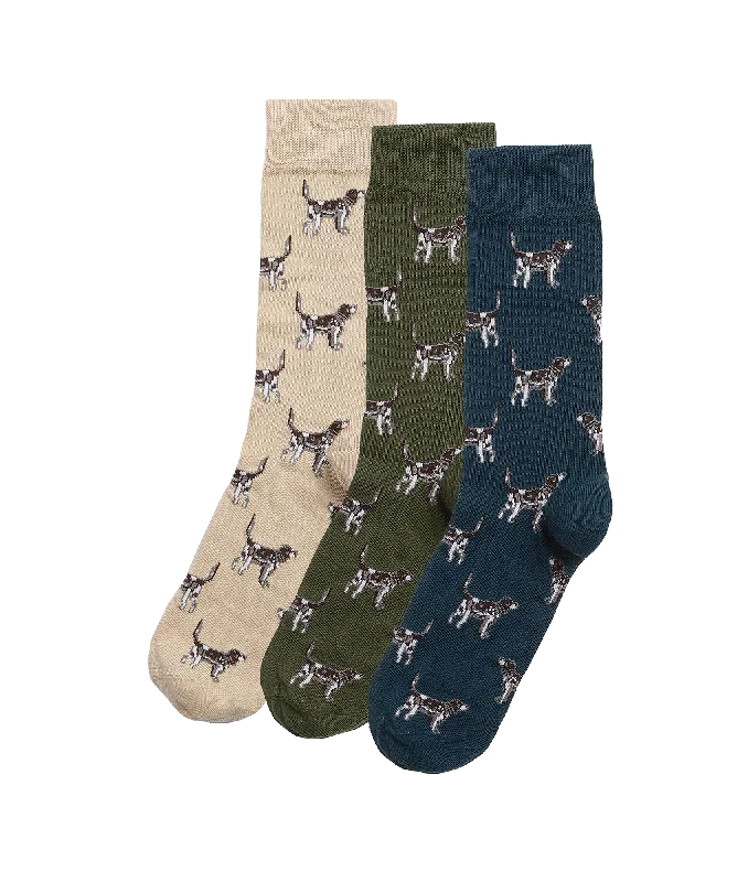 Pointer Dog Socks Gift Box - Multi